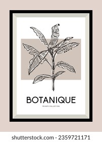 Botanical hand drawn illustration in a poster frame for wall art gallery