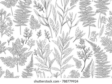 Botanical hand drawn illustration. Seamless pattern with plants, herbs, flowers and leaves. Vintage floral background. Vector allover print.