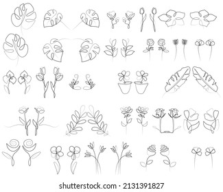 botanical hand drawn leaf line art collection