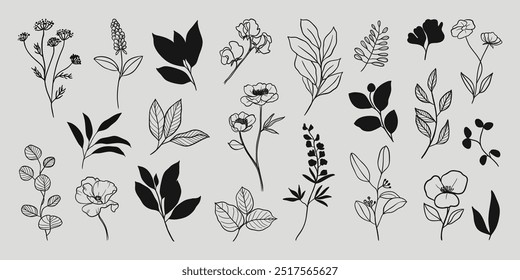 Botânica mão desenhada linha arte e silhueta vetor conjunto. Coleção de ramo de folha, flores silvestres preto branco desenho contorno estilo simples. Ilustração de design para impressão, logotipo, marca.