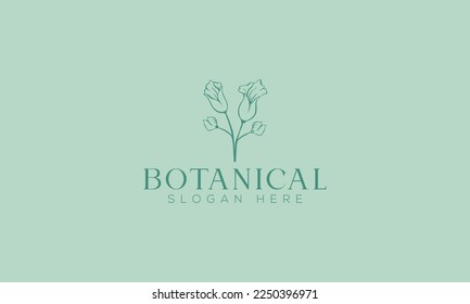 Botanical hand Drawn Logo Design Minimal Floral Hand Drawn Logo design template.