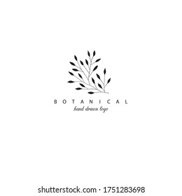 Botanical hand drawn minimal logo. Graphic tree branch in vector.