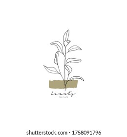 Botanical hand drawn minimal logo. Graphic tree branch in vector. Minimalistic branch with leaves template for your logo. beauty salon, wedding, spa or yoga studio, organic cosmetics logo, badges