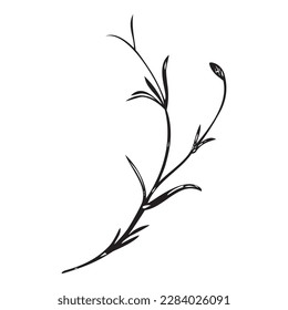Botanical hand drawn plant, bouquet isolated on background. Spring plant flower vintage frame. Creative doodle linear style. Graphic design wedding invitation, card, poster, banner Vector illustration