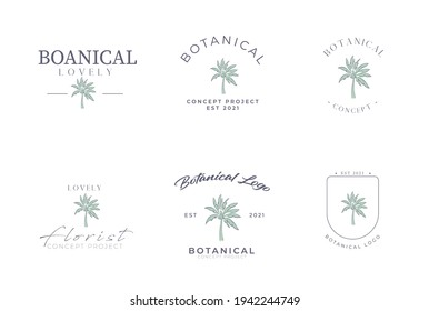 Conjunto de dibujos a mano botánicos del paquete de palma del proyecto de concepto del logotipo