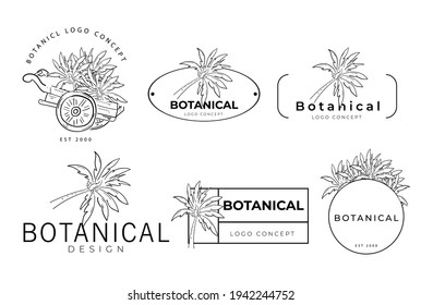 Conjunto de dibujos a mano botánicos del paquete de palma del proyecto de concepto del logotipo