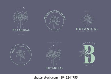 Botanical hand drawn set of palm pack of logo concept project