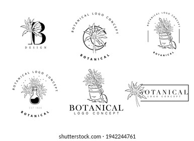 Conjunto de dibujos a mano botánicos del paquete de palma del proyecto de concepto del logotipo