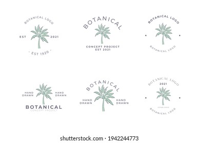 Botanical hand drawn set of palm pack of logo concept project