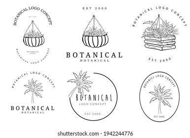 Conjunto de dibujos a mano botánicos del paquete de palma del proyecto de concepto del logotipo