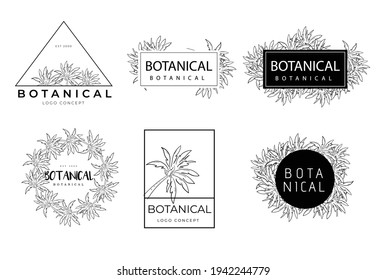 Botanical hand drawn set of palm pack of logo concept project