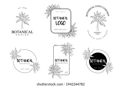 Botanical hand drawn set of palm pack of logo concept project
