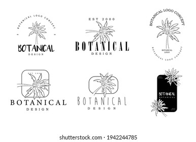 Conjunto de dibujos a mano botánicos del paquete de palma del proyecto de concepto del logotipo