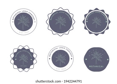 Botanical hand drawn set of palm pack of logo concept project
