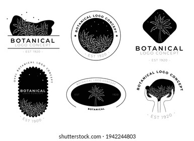 Botanical hand drawn set of palm pack of logo concept project