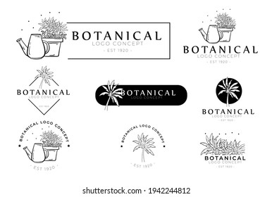 Botanical hand drawn set of palm pack of logo concept project