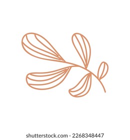 Botanical hand drawn vector element. foliage, leaf branch, floral in line art illustration design for logo, wedding, invitation, decor.