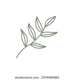 Botanical hand drawn vector element. foliage, leaf branch, floral in line art illustration design for logo, wedding, invitation, decor.