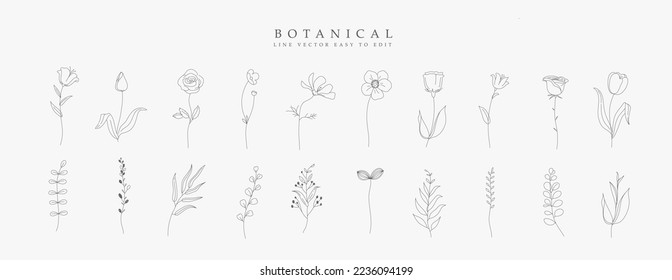 Botanical hand drawn vector set of plantselement. One line illustration collection of foliage, herbs, leaf branch, floral, flowers, roses, tulps, lily in line art.For logo, wedding, invitation, decor.