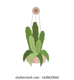 Botanical Hanging Plant Flowerpot Vector Illustration