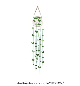 Featured image of post Hanging Plant Vector