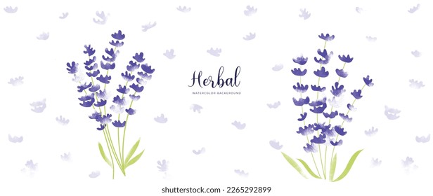 Botanical herbal watercolor background vector. Fresh aromatic hand drawn purple wildflowers. Natural decorative garden floral design for wallpaper, cover, advertising, healthcare product, cosmetics.