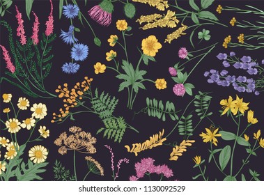 Fondo botánico horizontal con flores silvestres florecientes, prados de verano hierbas floridas y hermosas plantas herbáceas sobre fondo negro. Ilustración vectorial natural de forma floral y realista