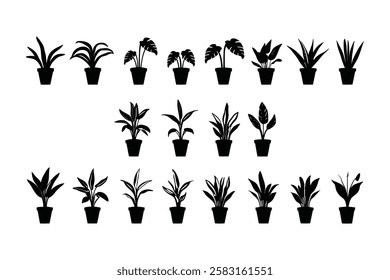 Botanical Houseplant Icons – Perfect for Home Design