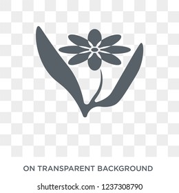 Botanical icon. Botanical design concept from Museum collection. Simple element vector illustration on transparent background.