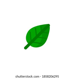 Botanical icon. Ecology icon. Simple, flat, color.
