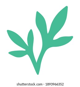 Botanical icon egg-shaped leaf Ruta fragrance