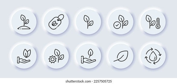 Botanical icon set. Leaf, medicines, treatment, immunity, doctor, pharmaceuticals, warning, recommendations, virus, bacteria, weather, season. Neomorphism style. Vector line icon for Advertising