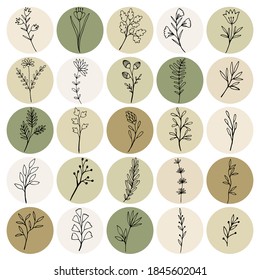 Botanical Icons for Social Media. They would be perfect for bloggers, influencers, vloggers, entrepreneurs, photographers, stylists, boutiques , make-up artists and creative souls