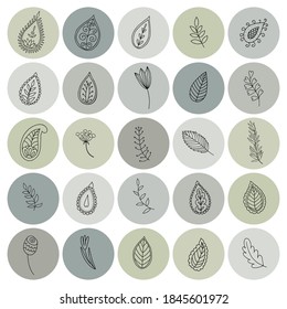 Botanical Icons for for your Social Media Story Highlights with hand-drawn botanical doodles