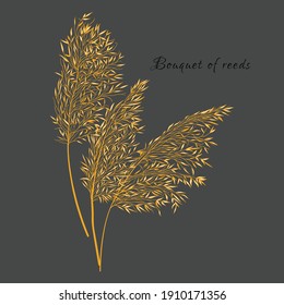 Botanical illustration. A bouquet of reeds. Vector drawing. Gray background and yellow pattern.