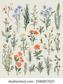 Botanical illustration collection, featuring various wildflowers and plants in a vintage style.