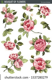 Botanical illustration for design. Elegance composition with blossom flowers. Beautiful isolated bouquet peony.