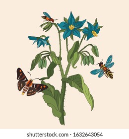 Botanical illustration with elements of cucumber grass, butterflies and wasps