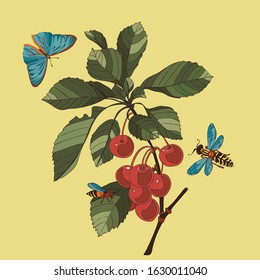 Botanical illustration with elements of garden cherry, butterfly and wasp