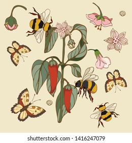 Botanical illustration with elements of pepper and bumblebee and butterfly