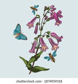 Botanical illustration with elements of plants bell and bumblebees and butterflies