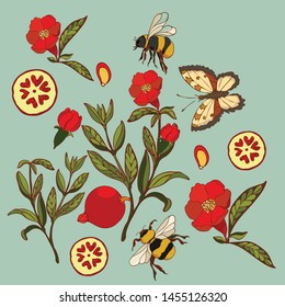 Botanical illustration with elements of pomegranate fruit and flowers, bumblebee and butterfly