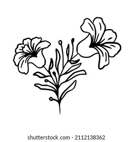 Botanical illustration. Fern, eucalyptus, boxwood. Vintage floral background. Vector design elements. Isolated. Black and white.