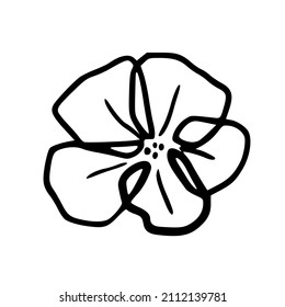 Botanical illustration. Fern, eucalyptus, boxwood. Vintage floral background. Vector design elements. Isolated. Black and white.