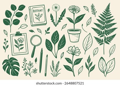 Botanical Illustration with Ferns Dandelions and Tropical Leaves for Scientific Designs