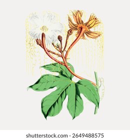 Botanical illustration of a flowering plant with green leaves. Detailed flower design showcases petals and stems. Nature-inspired floral art, perfect for decor. Vintage flower illustration vector.