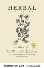 Botanical Illustration Of A Hand-drawn Chamomile Plant In Retro Style. Vector Banner Or Label For Herbal Medicine, Green Pharmacy Or Gardening. Medicinal Herbs Collection.