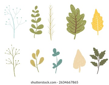 Botanical Illustration: Hand-Drawn wax crayon Leaves and Branches Isolated on White Background.