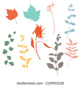 Botanical illustration with herbs, plants, flowers and leaves. Isolated vector silhouettes on white background. Graphic design for background, card, web banner, poster, invitation.