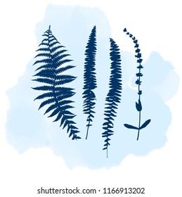 Botanical illustration with herbs, plants, flowers and leaves. Isolated vector silhouettes on watercolor splash background. Graphic design for background, card, web banner, poster, invitation. 